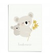 Affiche Koalas